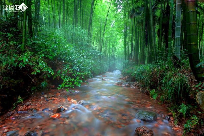 夏天吃什么可以解暑的